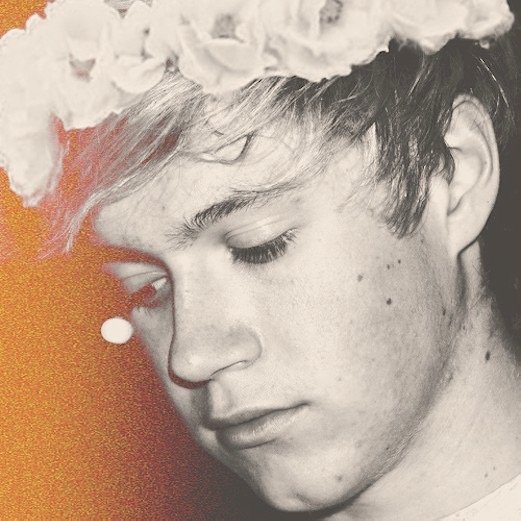 nijallsvans Profile Picture