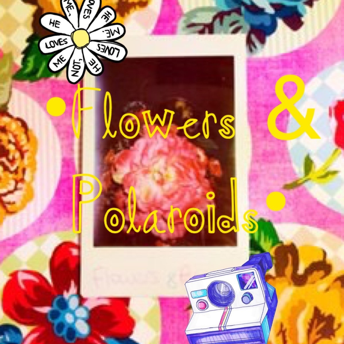 Blog, Dutch, Blogger, http://t.co/YhIRqJCxQ2