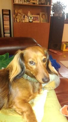 beverly_lana's profile picture. love to be in my flower bed in the spring and summer