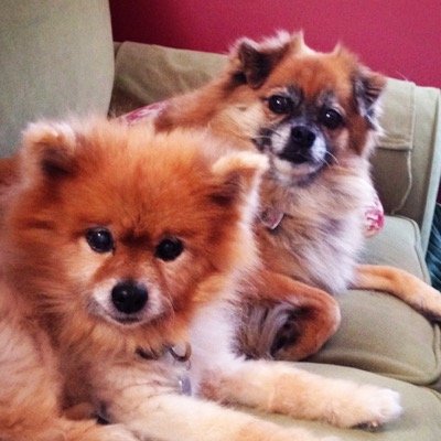 amanda_spurling's profile picture. 