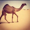 مواهب الشعر ,,, (@05569007) Twitter