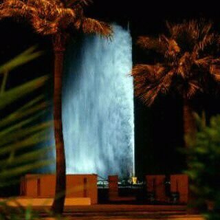 bx6651's profile picture. 