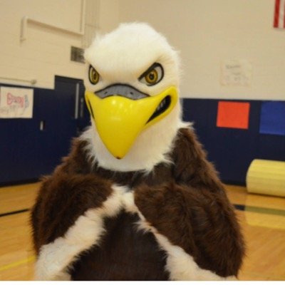 weareitcmascot's profile picture. fuck this school...im a still go though