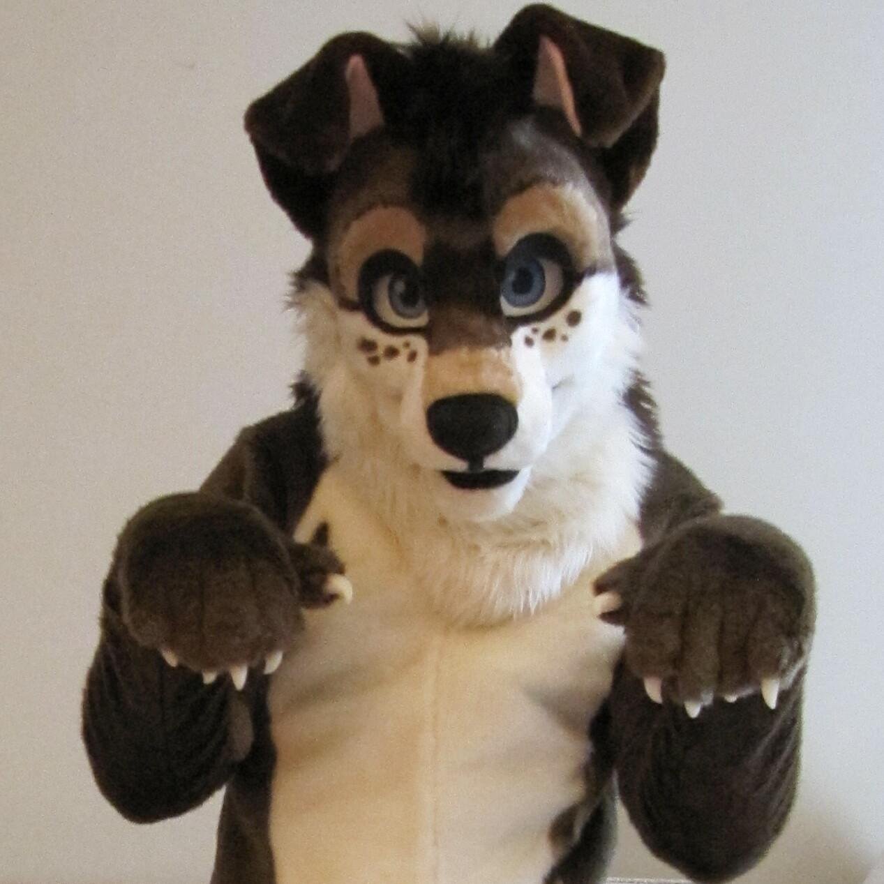 Central Ohio fursuiter who can also be found spreading snugs and scritches in Michigan and Kentucky