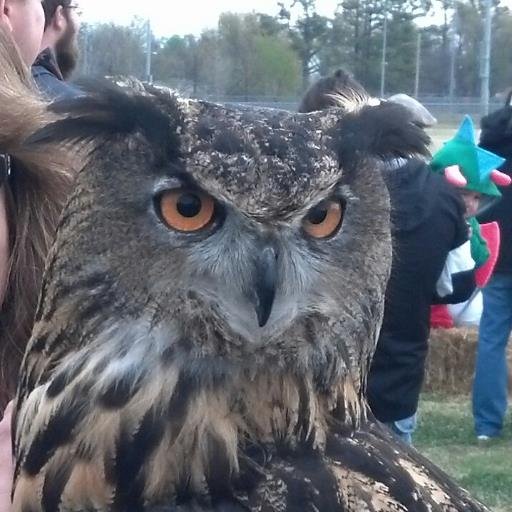 hootsheagirl's profile picture. Loving Nature, Life and the Holy Trinity