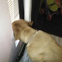 Robert Simington - @416f4e3b62804e5 - Twitter