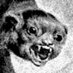 JIM JOE 2025 (@1800jimjoe) Twitter profile photo JIM JOE 2025 (@1800jimjoe) Twitter profile photo