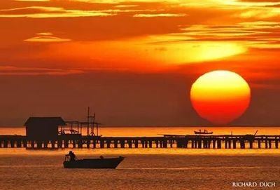 estelagsgs's profile picture. 