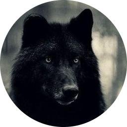 Black wolf, North wind