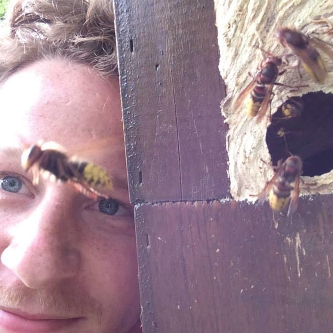 infiniteanimals's profile picture. I love to make animal videos