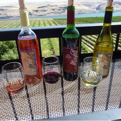 watchingallshow's profile picture. 