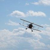 bordairline's profile picture. 