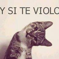 vivo mi vida a pleno