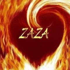 Bir İnsan ne ise O'dur... Zaza olan da ya Zaza'dır ya da Zaza Değildir. Zazalar Kürt-Mürt Değildir. Zaza Zazadır.