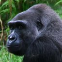 Corey Goodall - @thedirtydigit - Twitter