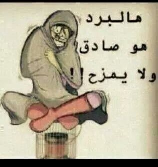 nouralsurmi's profile picture. 