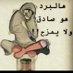يمني في صنعاء (@nouralsurmi) Twitter profile photo يمني في صنعاء (@nouralsurmi) Twitter profile photo