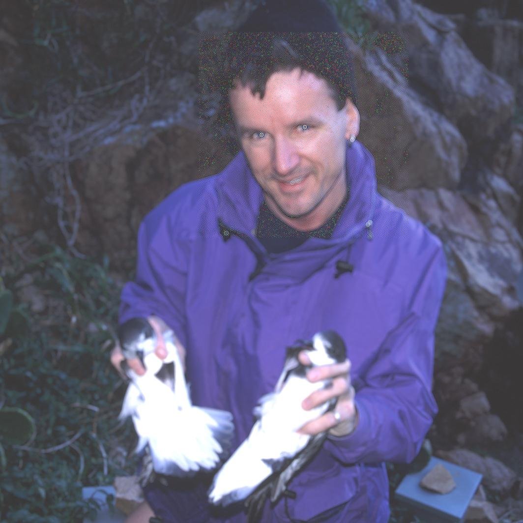 Island ecologist with a passion for petrel hunting!