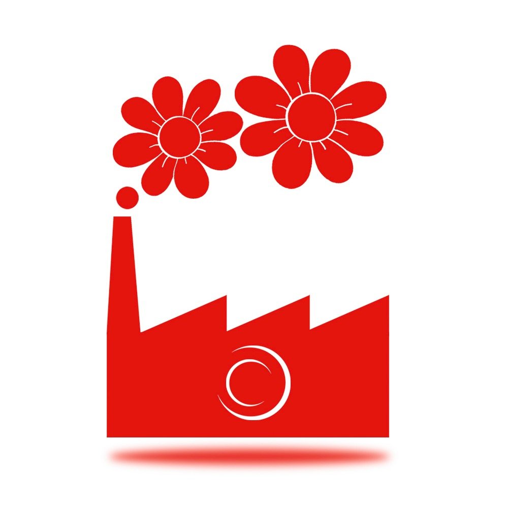 Te casas? Somos fotógrafos d boda. Te hacemos el reportaje y te entregamos los  archivos digitales en alta resolución.