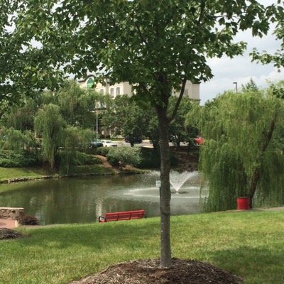 hani1977's profile picture. 