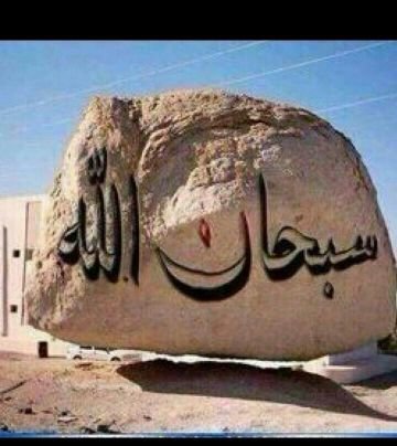 رد الاضافه