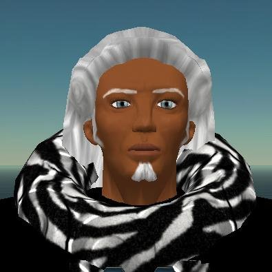 Second Life Land Trader