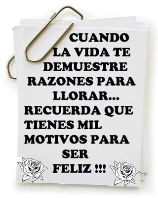 Hadachalada0's profile picture. yo soy feliz en mi locura