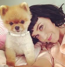 World Domination ★unofficially not Katy anymore★ We Bitches rule ÷*