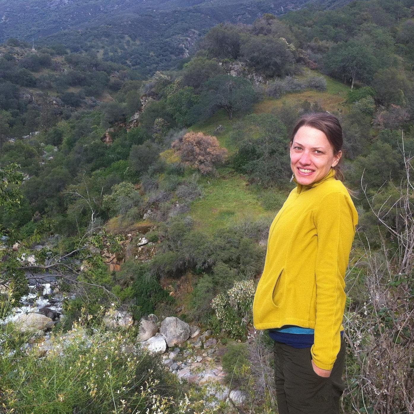 Admires and Analyzes Landscapes