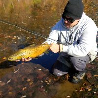 Mikey Metcalfe (@metcalfeflycast) 's Twitter Profile