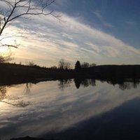 Allison Dunne (@adunnewamc) 's Twitter Profile