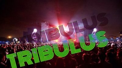 Viernes 14 de noviembre veni a la mejor matine del año, la tribulus.