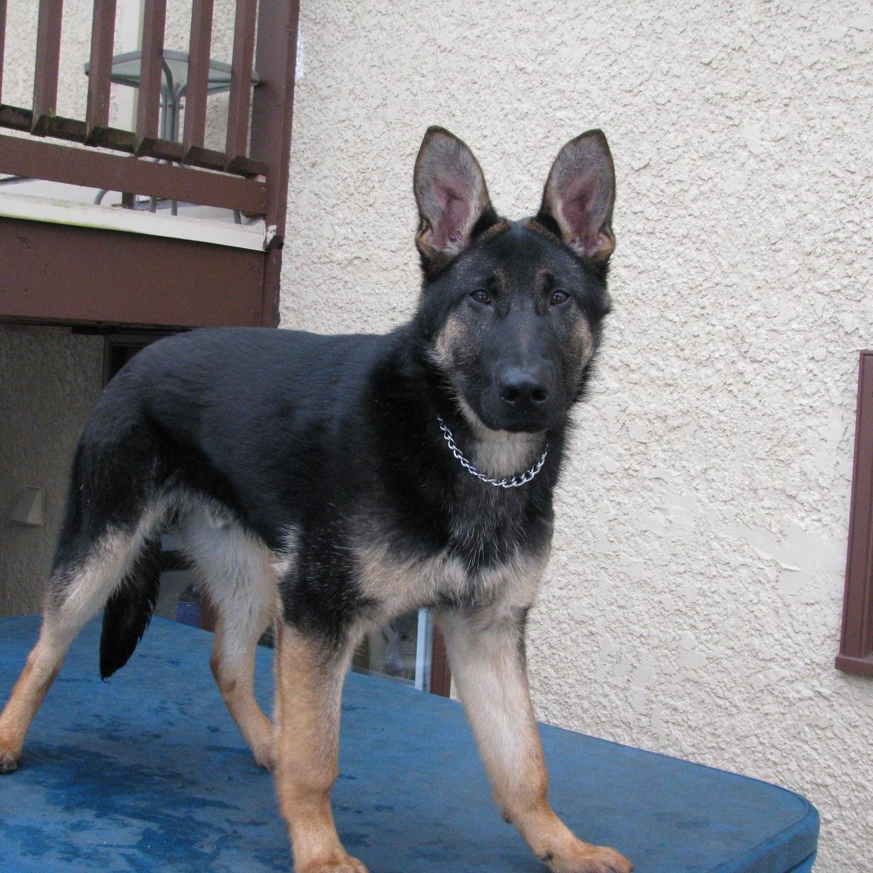 Trevor_Mack's profile picture. 