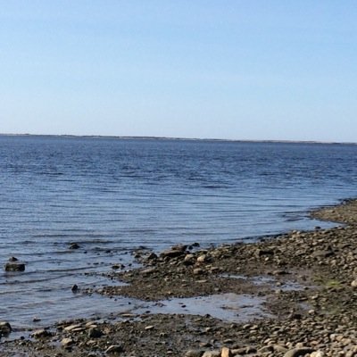 eeyougal's profile picture. 