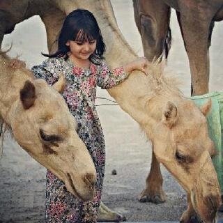 al_wqe's profile picture. 