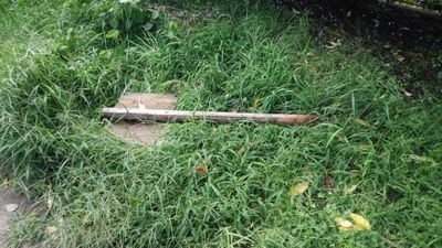 sawaparu's profile picture. この欄を見た貴方の今日の運勢は…