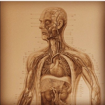 An alternative physical therapy clinic utilizing one-on-one manual physical therapy to facilitate healing. We specialize in treating chronic pain.