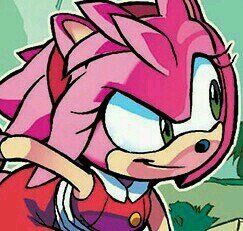 A lovable pink cute girl who loves her friends with all of her heart. Freedom Fighter of Möbius and a great cook. I am Amy Rose. |#15| |#Hyper| |TeamRose|
