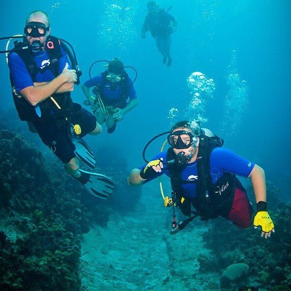 EvanMathias's profile picture. 