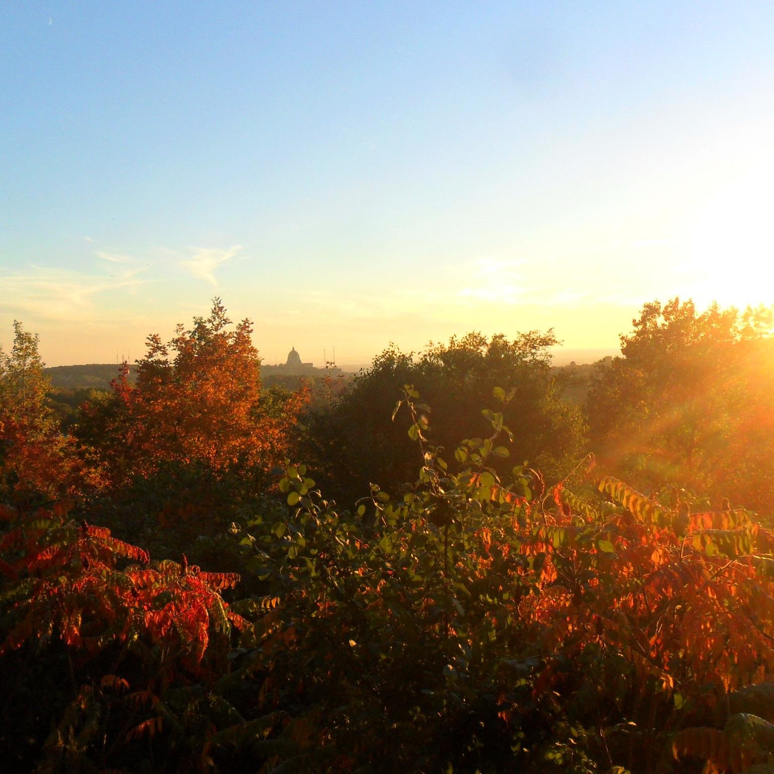 RiikT's profile picture. PhD in Religious Studies - Specialist in Immigration, Multiculturalism, Muslim Identities - Interested in Social Justice, Human Rights, and Power Relations