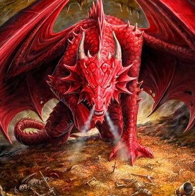 starnetwork331's profile picture. 