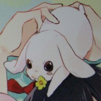 karin (@shirousagi728kd) 's Twitter Profile