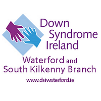 @DSIWaterford(@DSIWaterford) 's Twitter Profile Photo