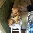 Rose Nieman - @rose_nieman - Twitter