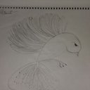 Winston lopez - @wistonlopez1203 - Twitter