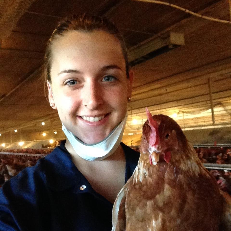 UofGuelph OAC '14 Animal Science Alumni. Producer Rep for Gray Ridge Egg Farms. Director for Farm & Food Care Ont. Agriculture & horse lover. Tweets are my own