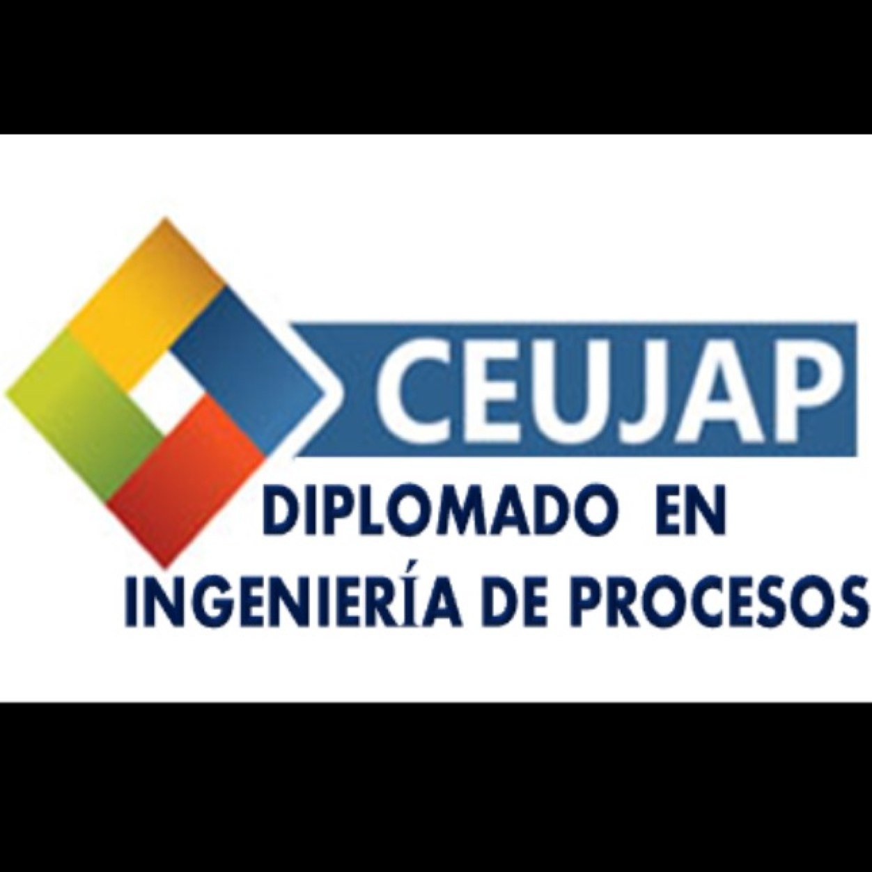 Diplomado en Ingeniería de Procesos del Centro de Extensión de la Universidad José Antonio Páez (@CEUJAP) -@sirpalace