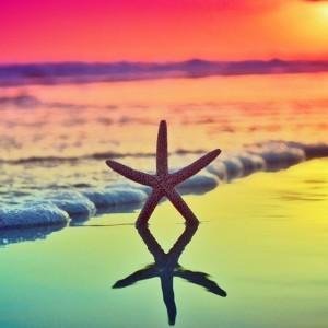 infolombokgilis's profile picture. rt for s/o Paket Wisata Lombok Gili Trawangan #Bali #OpenTrip #Snorkeling #Diving
BBM: 54BCF78C
Whatsapp +6287864575957
Tsel: +6282340948073
XL: +6287864575957