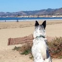 Heather Rule Grady - @GradyRule - Twitter