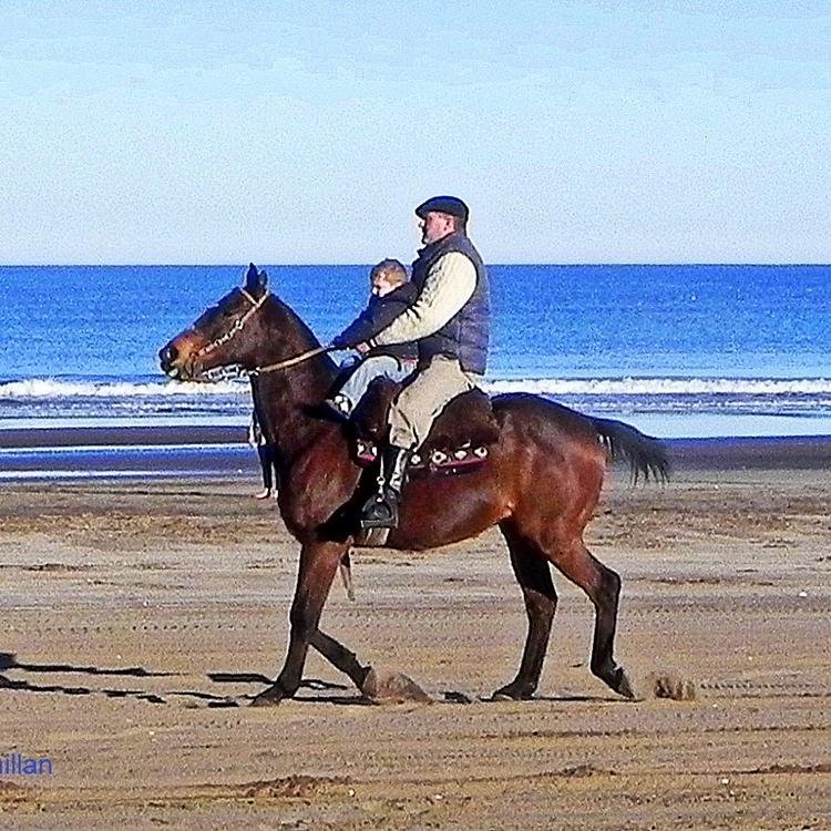 rodoprietorres's profile picture. 